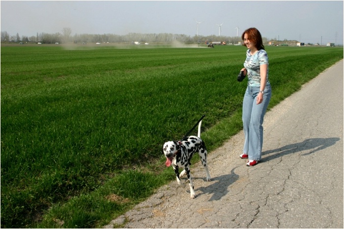 <b>heute ist Feldlauf angesagt, da bin ich kaum zu halten!<b>